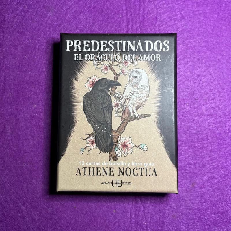 “Predestinados” el oráculo del amor x Athene Noctua