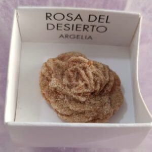 Rosa del Desierto