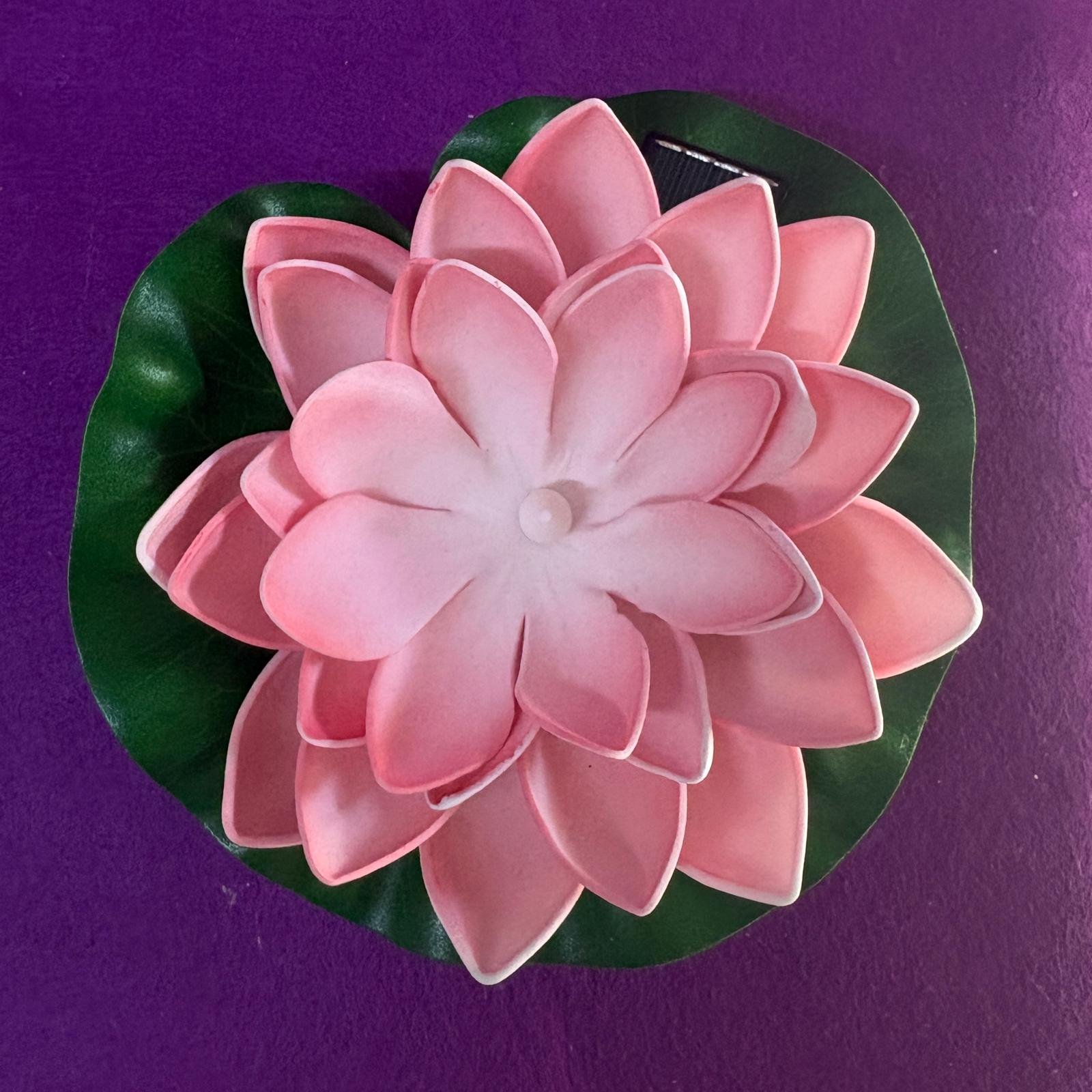 Flor Nenúfar Solar