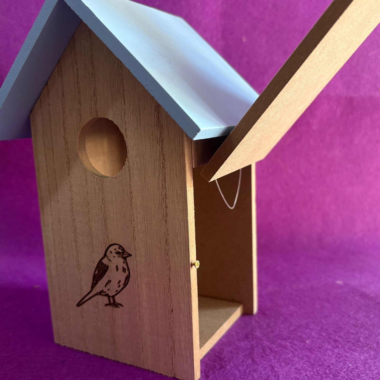 Casita de pájaro azul - Imagen 2