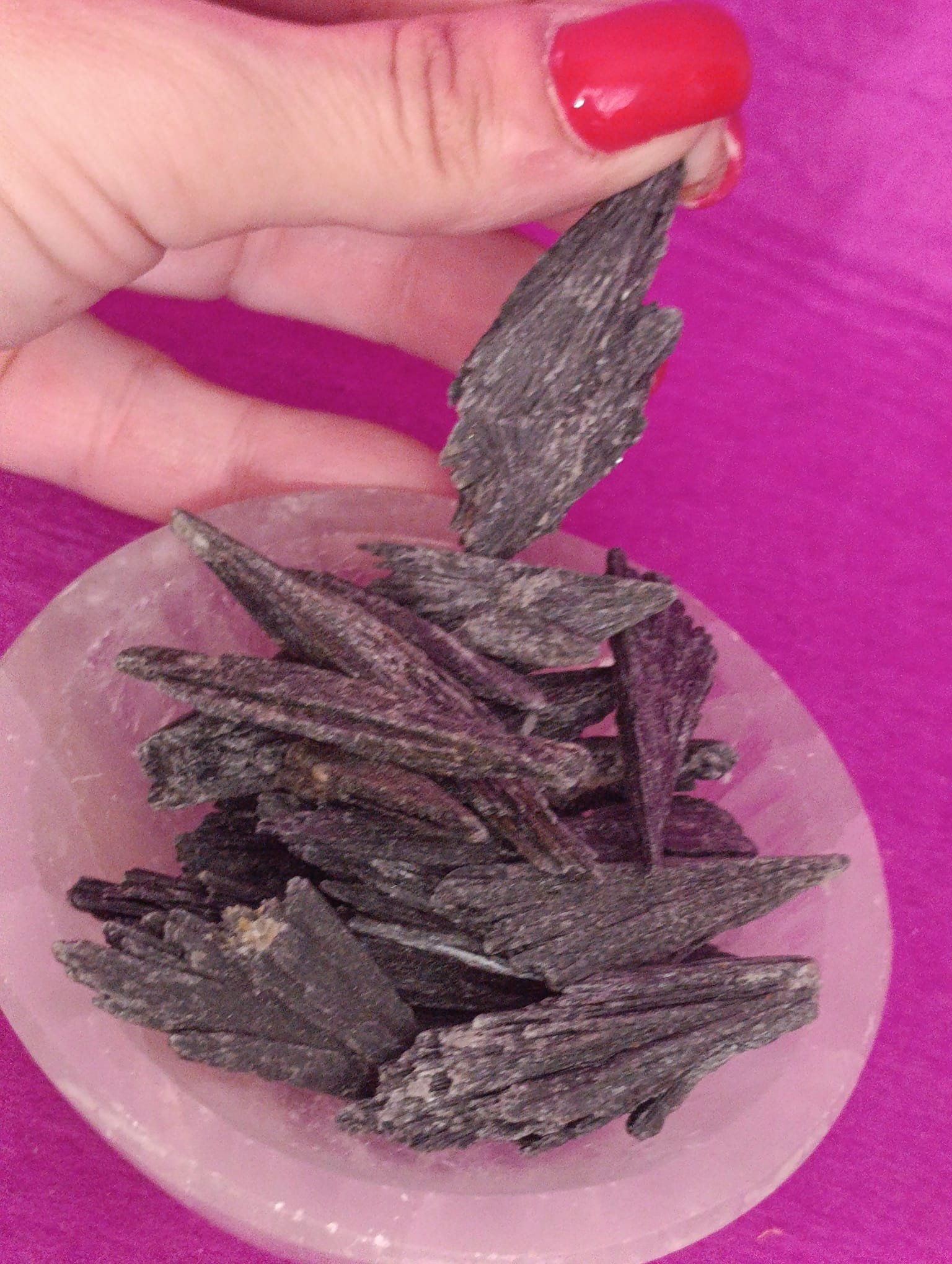 Taramita (Escoba de Bruja)